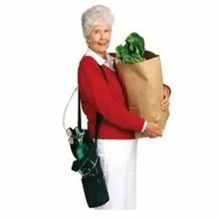 KIT-OXIGENO-PORTÁTIL-168-LTRS-510x456_0 (1)